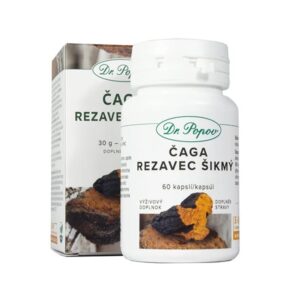 Dr.Popov Čaga-Rezavec šikmý (extrakt), 60 kapslí