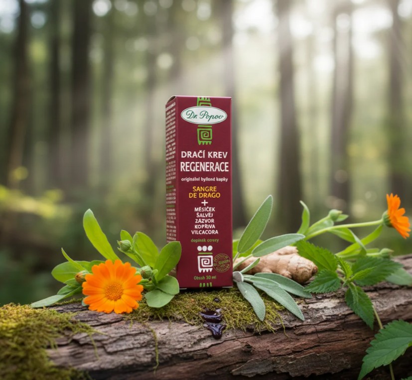 Dr.Popov Dračí krev (Sangre de Drago) REGENERACE tinktura 30 ml - Obrázek 3